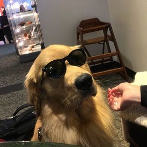 Meet your Posher, Chris